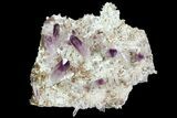 Amethyst Cluster - Las Vigas, Mexico #84397-2